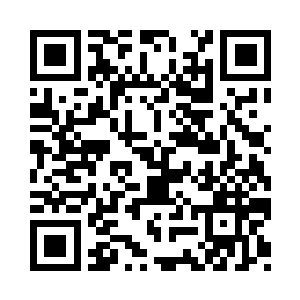 对多元宇宙海的边缘进行了规模浩大的二维码生成