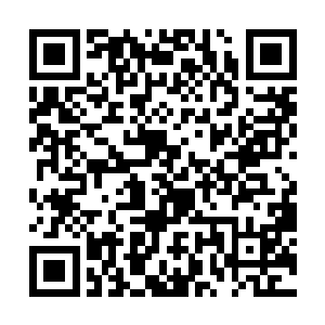 对夜家主自作主张将这一消息放出大陆他是不赞同的二维码生成