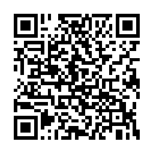 对天下宝物的研究是任何一个势力都无法比拟的二维码生成