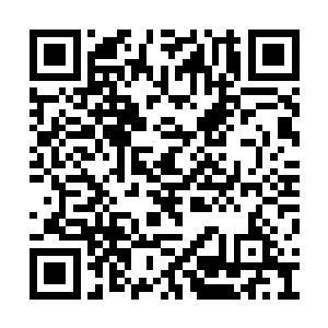 对奴隶矿工进行详细的摸底调查建立档案的工作二维码生成