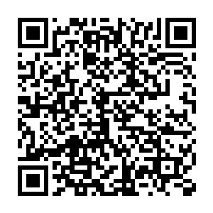 对她不同于别的关注以及他得知她已有婚约时脸上出现的痛苦神情二维码生成