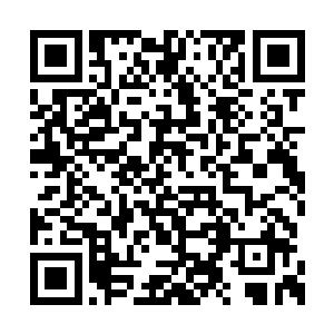 对她回了个因为过分激动而有所变形的模仿动作二维码生成