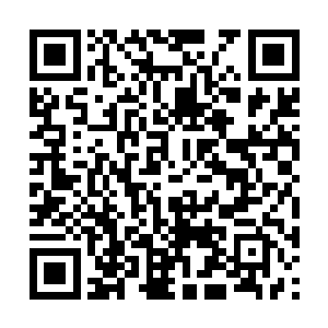 对她家小姐这种凭空取物的行为早就已经见怪不怪二维码生成