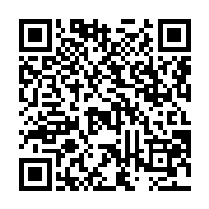 对好不容易快要靠近涼妃的辰玺与辰易的攻击越来越猛二维码生成