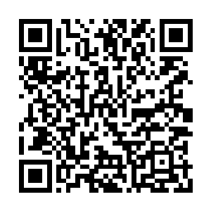 对孔雀妖圣等数十名妖皇境妖禽的恐惧荡然无存二维码生成