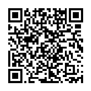 对屋内情况牵肠挂肚的两个小木灵闻言都连忙颔首二维码生成