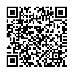 对已一个将死之妖楚旬可没那么多时间可以浪费二维码生成