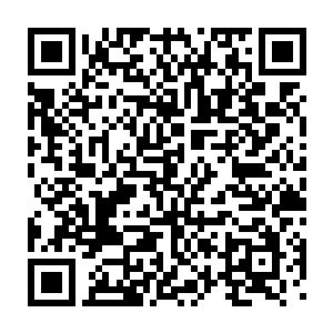 对巴克一家可以超越规则住在这么舒坦的地方而不是镇上海边酒店里二维码生成