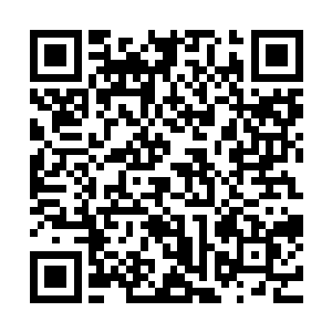 对张媚娘只有利用云云…同时她还告诉自己其实是一个穿越者二维码生成
