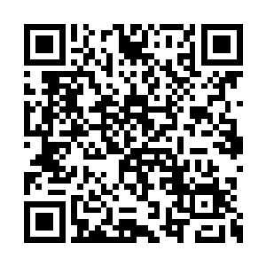对张潇晗明显乱七八糟经验不足的表现很是奇怪二维码生成