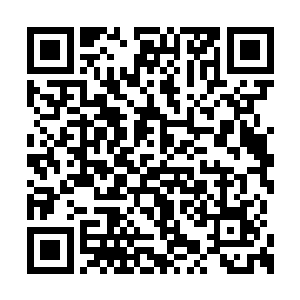 对张铁来说就是一个只属于他一个人的娱乐区域二维码生成