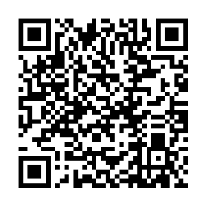 对当时隶属于另外几支护卫舰队的不少军官调查来看二维码生成