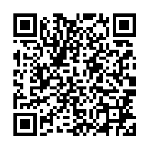 对待仙人仙兽均是一视同仁而有名的凤聚仙山的凤幽萝上仙二维码生成