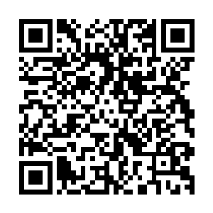 对待内门的弟子是不可能随随便便就用上心魔起誓和搜魂术的二维码生成