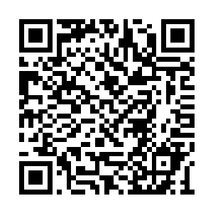 对待这家伙的态度与对待陈诚完全就是俩个极端二维码生成