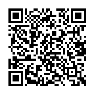 对我们的党委政府领导干部要求同样也不一样了二维码生成