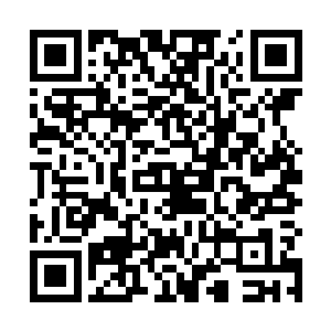 对手除了脱掉裙子以外没有办法触摸到同样渴望的肌肤二维码生成