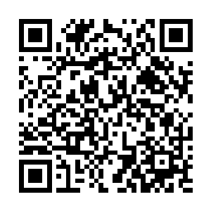 对投资给内地沈家的钱指手画脚……沈总和三爷就想……二维码生成