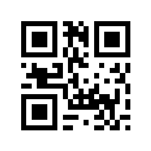 对抗二维码生成