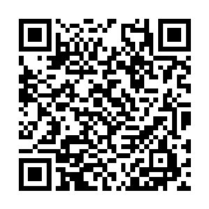 对方不知道用了什么方法给这个蛮城城主传了讯念二维码生成