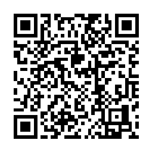 对方似十分恼怒又有点不敢相信严默能这么轻松闪躲开一般二维码生成