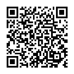 对方只是单纯的让秦方去香山山顶……这实在是太不正常了二维码生成