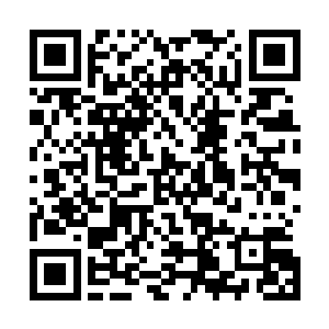 对方就直接拿出了这种大杀器――你至于谨慎到这个地步吗二维码生成