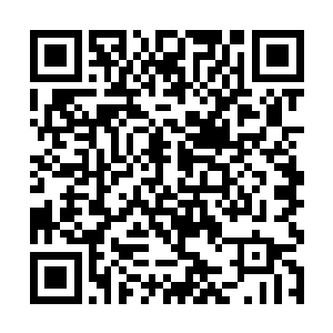 对方战舰的加速度和转向灵活性远远高于她的运输舰二维码生成