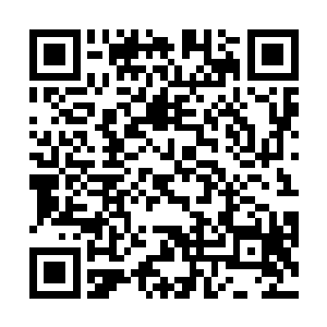 对方所展现出来的总实力却远远超出了至尊强者的界限二维码生成