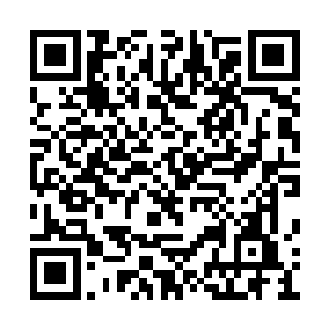 对方无论在计划什么看样子这次都要动真格的了二维码生成