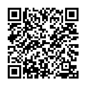 对方来这套煽情的玩意梓箐一下子倒不知道如何应对了呢二维码生成