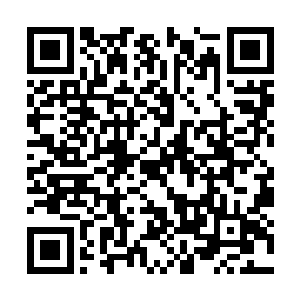 对方此时的脸上已经长满了一个又一个的巨大肿瘤二维码生成