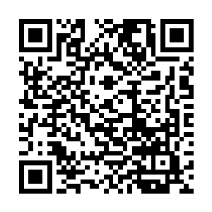 对方的一道攻击却是轻易的将自己的半边身子给毁了二维码生成