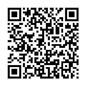 对方的状态也绝对说不上好――身上到处都是伤口二维码生成