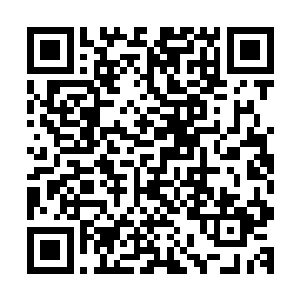 对方看出了自己薄纱丝线其实锋利程度远不如银针针线的事情二维码生成