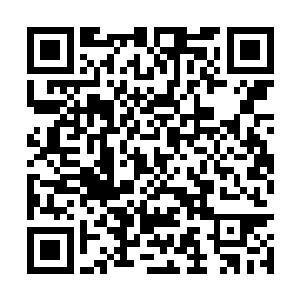 对方真的想要把整个情域生灵炼化来铺他的成神路二维码生成