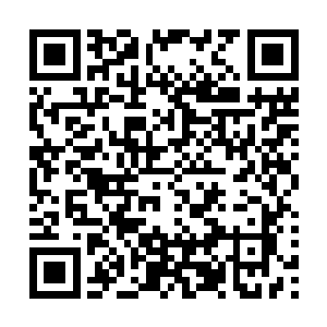 对方竟然邀请到了克洛诺斯机甲设计院的副总设计师上节目二维码生成