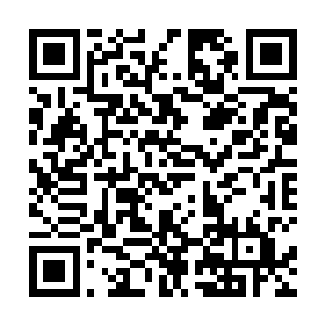 对方要毁了华夏的信念让叶秋与二者与董菩提联想起来二维码生成