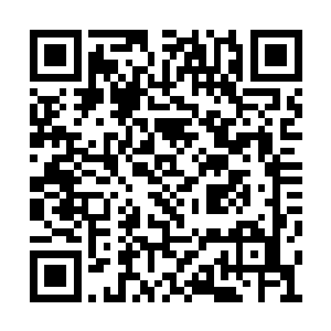 对方这从不谦虚的性格今天倒是学会了谦虚起来二维码生成