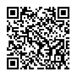 对方那把锋利的砍刀硬生生砍在了白振东的左肩上二维码生成