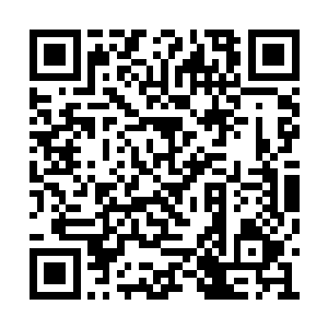 对未来的新品种的开发和推广都有着极大的好处二维码生成