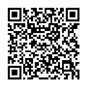 对本市所有的在职干部都做过了详细的遴选和调查二维码生成