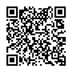 对桑顿旁边桌子上面的书籍也流露出来些许的羡慕二维码生成