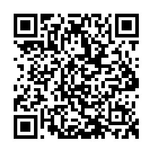 对此凤君曜也只是挑了下好看的眉梢并没说什么二维码生成