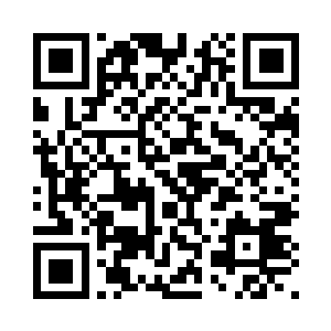 对武斗会的情况有了个大致的了解二维码生成