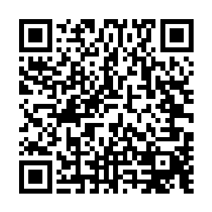 对江老爷子前些年在将作监的过往和成绩表示了充分的肯定二维码生成