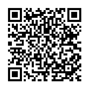 对海也对着三个小姑娘挥手告别之后关上了大门向着屋里走去二维码生成