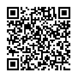 对演艺圈一无所知――你想要知道的一切都是我做的决定二维码生成