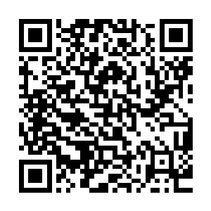 对灵宝了解甚深的云逸甚至能够感觉到它叫声之中的垂涎欲滴二维码生成