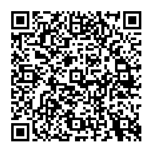 对照数据库里的遗世者认知就好像在博物馆里看到古人类的标本一样……北京猿人什么活生生出现在面前的神奇二维码生成